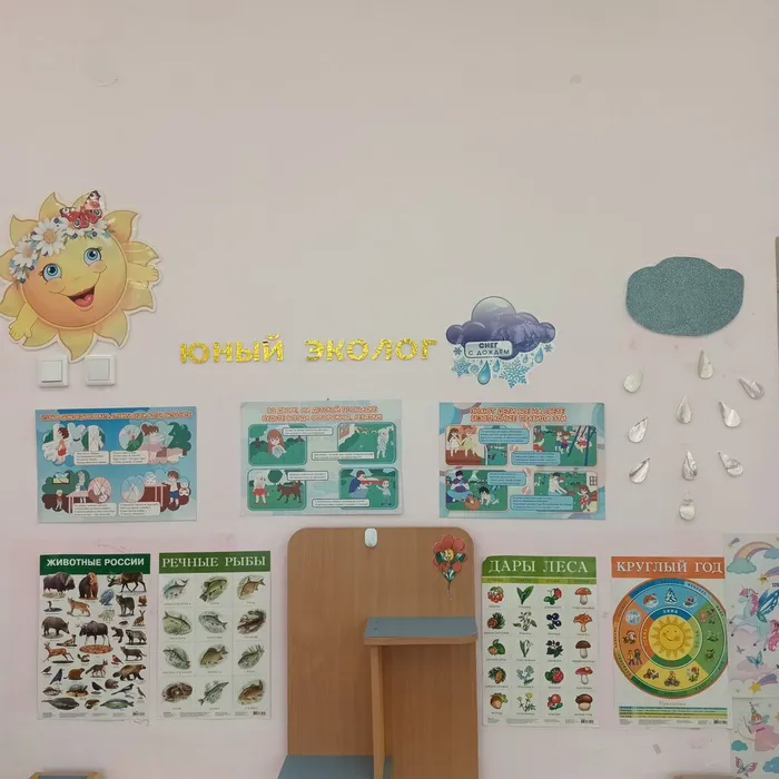 Уголок экологии в средней группе