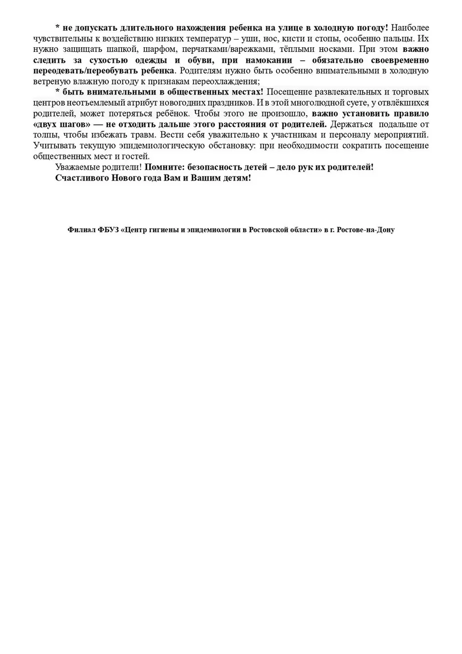 Безопасный Новый год-2_page-0001