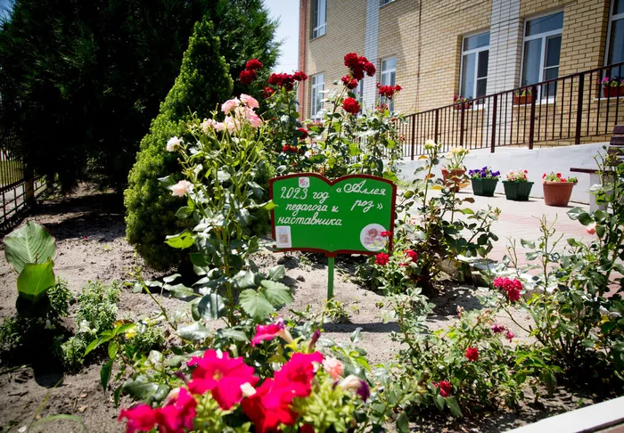 "Аллея роз" в честь года педагога и наставника